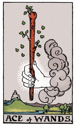 Ace of Wands